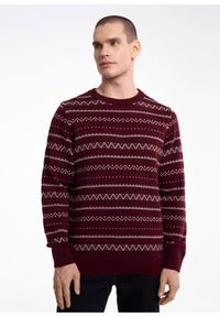 Ochnik - Sweter męski. Okazja: na co dzień. Materiał: akryl. Długość: długie. Styl: casual #4