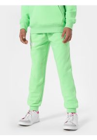 4F JUNIOR - Spodnie dresowe joggery dziewczęce. Kolor: zielony. Materiał: dresówka