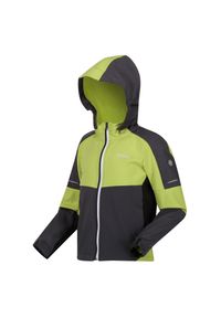 Regatta - Kurtka trekkingowa dziecięca Acidity VI rozpinana. Kolor: szary, niebieski, wielokolorowy, zielony. Materiał: softshell. Styl: sportowy #1