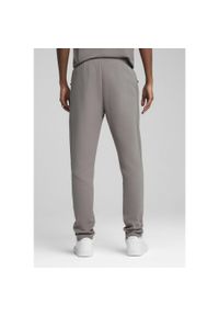 Puma - Męskie spodnie EVOSTRIPE PUMA Cast Iron Gray. Kolor: szary