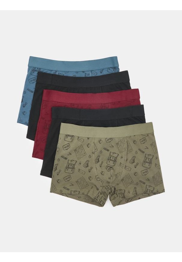 Sinsay - Bokserki classic ze wzorkiem 5 pack - wielobarwny