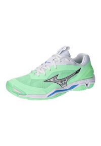 Buty do piłki ręcznej męskie Mizuno Wave Stealth 6. Kolor: czarny, niebieski, wielokolorowy, zielony. Model: Mizuno Wave. Sport: piłka ręczna #1