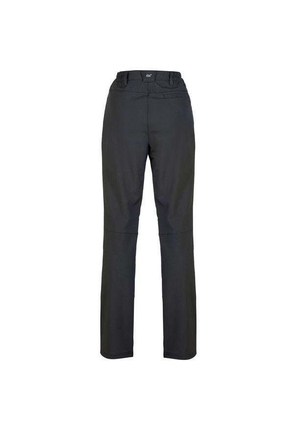 Regatta - Spodnie Trekkingowe Damskie Softshell Fenton. Kolor: czarny. Materiał: softshell. Sezon: zima. Sport: narciarstwo