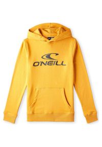 O'Neill - Bluza sportowa dziecięca unisex O'neill Logo. Kolor: żółty