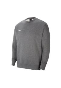 Nike - Bluza Męska Polar Dekolt W Szpic Park 20. Kolor: szary. Materiał: polar