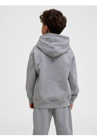 Bluza z kapturem dla dzieci Hummel Clean. Typ kołnierza: kaptur. Kolor: szary. Materiał: bawełna, materiał