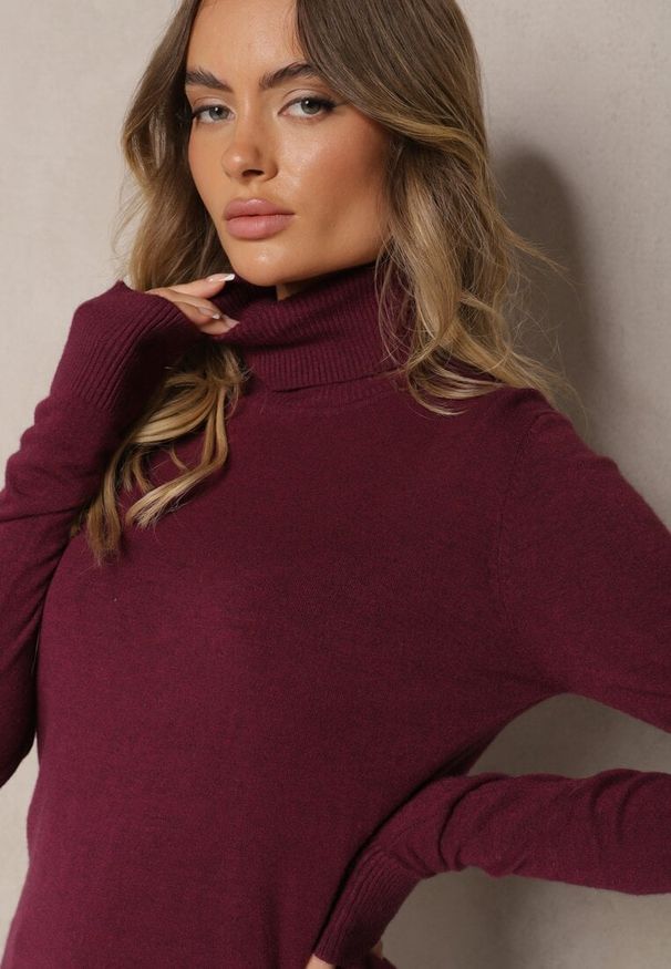 Renee - Ciemnobordowy Golf Sweterkowy z Domieszką Kaszmiru Zaivanna. Okazja: do pracy, na spacer, na co dzień, na spotkanie biznesowe. Typ kołnierza: golf. Kolor: czerwony. Materiał: kaszmir. Sezon: jesień. Styl: klasyczny, casual, elegancki, biznesowy