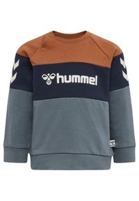 Bluza dla dziecka Hummel Samson. Kolor: wielokolorowy #1