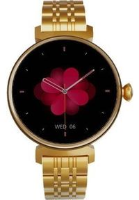 Smartwatch HiFuture Future Aura Złoty (Future Aura (rose)). Rodzaj zegarka: smartwatch. Kolor: złoty