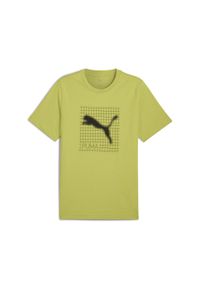 Puma - Męska koszulka z grafiką PUMATECH PUMA Sea Kelp Green. Kolor: zielony. Materiał: guma. Wzór: nadruk, kolorowy