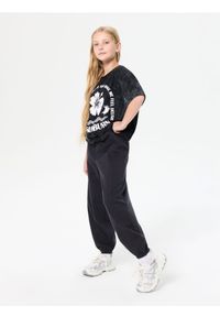 Sinsay - Spodnie dresowe z przeszyciami - szary. Kolor: szary. Materiał: dresówka