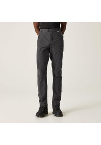 Regatta - Męskie spodnie trekkingowe Highton. Kolor: szary. Sezon: lato. Sport: turystyka piesza #1