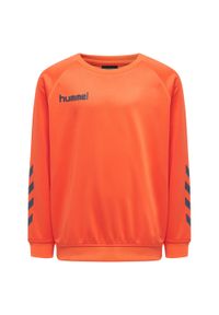 Bluza do piłki ręcznej dla dzieci Hummel Promo. Kolor: pomarańczowy. Sport: piłka ręczna