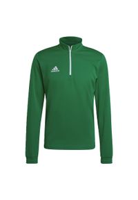 Bluza piłkarska męska Adidas Entrada 22 Training Top. Kolor: wielokolorowy, biały, zielony. Sport: piłka nożna