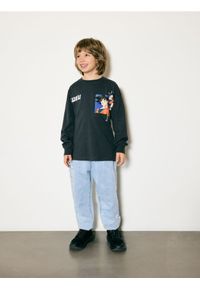 Reserved - Koszulka longsleeve Dragon Ball Z - ciemnoszary. Kolor: szary. Materiał: bawełna, dzianina. Długość rękawa: długi rękaw #1