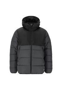 Kurtka z kapturem Whistler Sareto. Typ kołnierza: kaptur. Kolor: czarny, brązowy, szary, wielokolorowy. Materiał: puch. Sezon: zima. Sport: narciarstwo #1