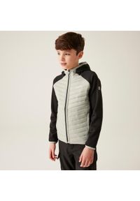 Regatta - Kielder Hybrid VIII Dziecięca wodoodporna kurtka z przegrodami. Kolor: zielony, brązowy, wielokolorowy. Materiał: polar, puch. Styl: elegancki, sportowy #1