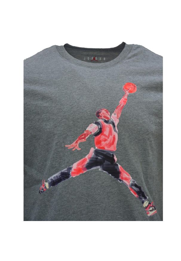 Koszulka sportowa męska Air Jordan Brand Graphic T-shirt. Kolor: szary