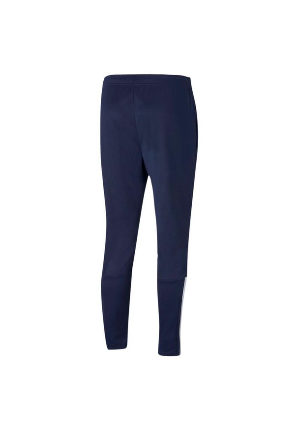 Spodnie męskie Puma teamLIGA Training Pants. Kolor: biały, wielokolorowy, niebieski