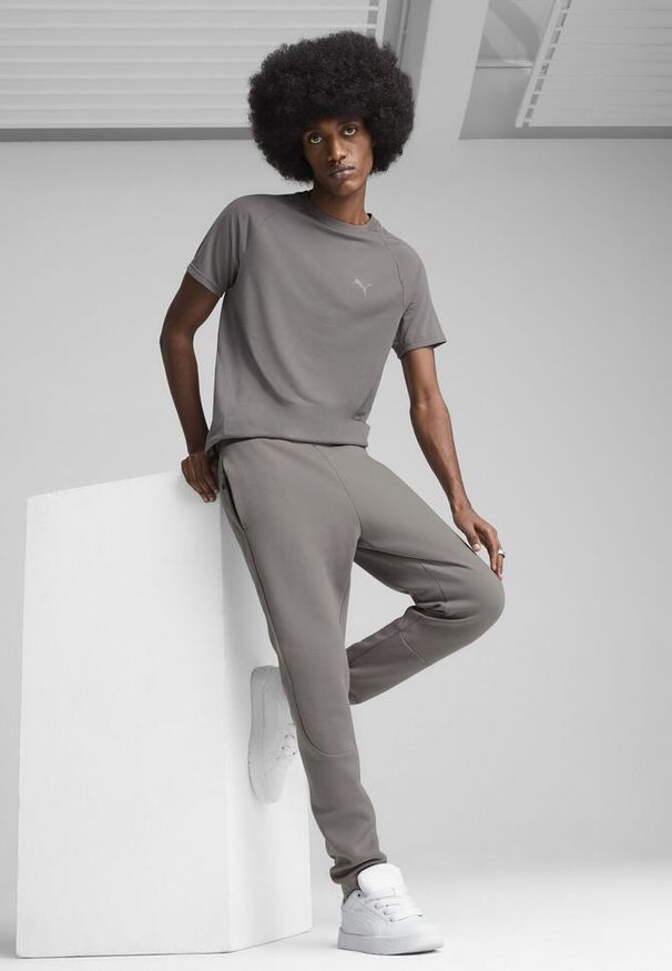 Puma - Męskie spodnie EVOSTRIPE PUMA Cast Iron Gray. Kolor: szary