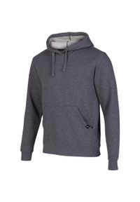 Bluza sportowa męska Joma Montana Hoodie. Typ kołnierza: kaptur. Kolor: szary. Materiał: bawełna, materiał