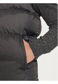 SCHOTT N.Y.C. Bezrękawnik UTAHV Szary Regular Fit. Kolor: szary. Materiał: syntetyk. Długość rękawa: bez rękawów