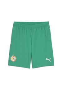 Puma - Męskie szorty Senegal 2025 PUMA Sport Green White. Kolor: biały, zielony, wielokolorowy. Wzór: aplikacja