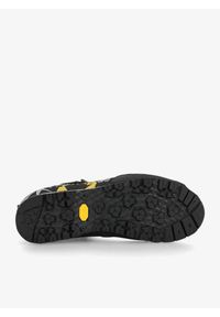 Buty trekkingowe męskie Zamberlan Salathe Trek GTX RR. Kolor: czarny