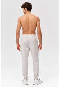 ROUGH RADICAL - Męskie spodnie dresowe sportowe Rough Radical Cotton Active Joggers. Kolor: szary. Materiał: dresówka