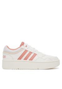 Adidas - Buty do koszykówki adidas. Kolor: biały. Sport: koszykówka