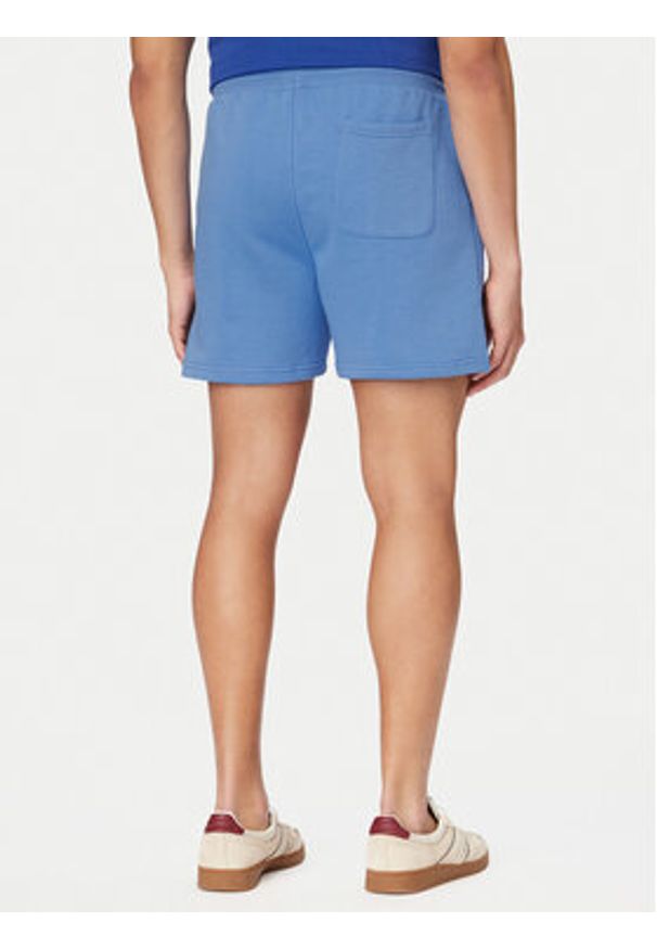 Tommy Jeans Szorty sportowe DM0DM22697 Niebieski Regular Fit. Kolor: niebieski. Materiał: bawełna. Styl: sportowy