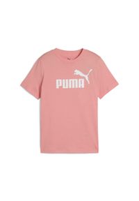 Puma - Młodzieżowa koszulka ESS z logo No. 1 PUMA Pink Fruit. Kolor: różowy. Materiał: bawełna. Sport: joga i pilates