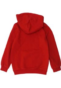 Bluza z kapturem dziecięca Puma DCT Hoodie. Typ kołnierza: kaptur. Kolor: czerwony