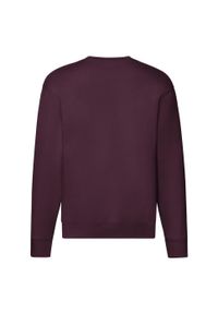 FRUIT OF THE LOOM - Męska Bluza Rozpinana Premium. Kolor: czerwony, wielokolorowy, brązowy