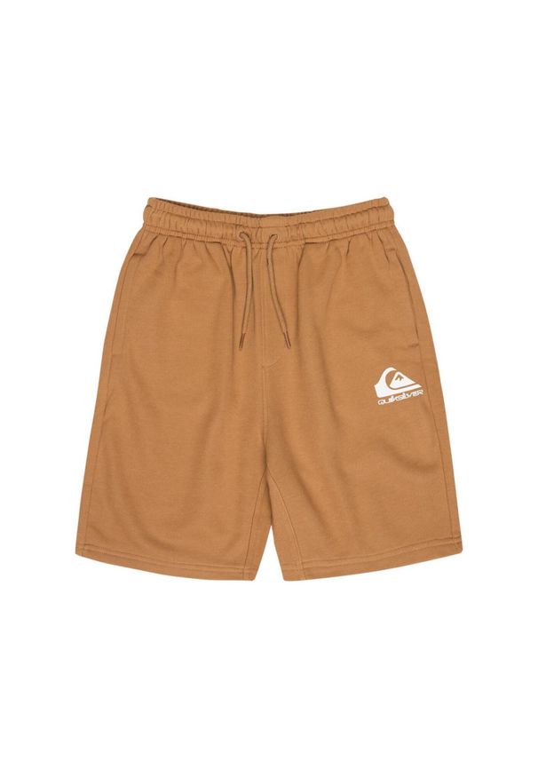 Quiksilver - Spodenki z elastyczną talią dla Chłopcy EASY DAY Brązowy. Kolor: brązowy. Materiał: poliester, bawełna, tkanina. Długość: krótkie. Sezon: lato