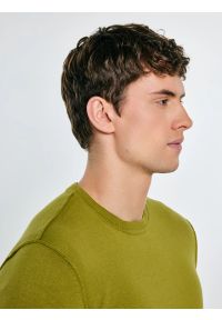 Big-Star - Sweter męski bawełniany zielony Simoner 301. Okazja: na co dzień. Kolor: zielony. Materiał: bawełna. Długość rękawa: długi rękaw. Długość: długie. Wzór: gładki, aplikacja, ze splotem. Styl: casual, klasyczny #4