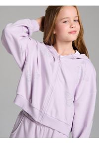 Sinsay - Bluza z kapturem z ozdobnymi cyrkoniami - fioletowy. Typ kołnierza: kaptur. Kolor: fioletowy #1