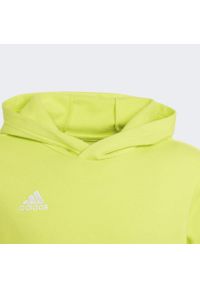 Adidas - Bluza piłkarska dla dzieci adidas Entrada 22 Hoody. Typ kołnierza: kaptur. Kolor: żółty. Materiał: polar, materiał. Sport: piłka nożna