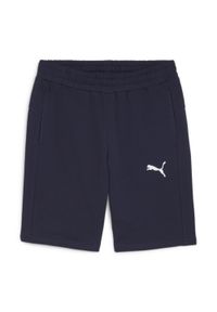 Spodenki sportowe męskie Puma teamGOAL Casuals. Kolor: niebieski. Sport: piłka nożna