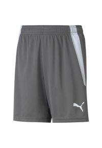 Szorty dla dzieci Puma Team Liga. Kolor: wielokolorowy, szary, biały. Materiał: poliester. Styl: sportowy #1