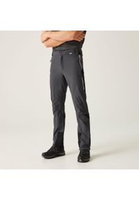Regatta - Męskie spodnie trekkingowe Mountain III. Kolor: szary. Materiał: tkanina. Sezon: lato. Sport: turystyka piesza #1