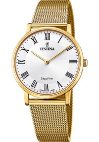 Zegarek Festina Zegarek męski Festina F20022-4 złoty. Kolor: złoty #1