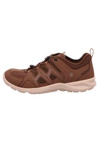 ecco - Buty trekkingowe męskie Ecco Terracruise Lt Low Vent. Kolor: brązowy. Materiał: syntetyk, materiał. Szerokość cholewki: normalna