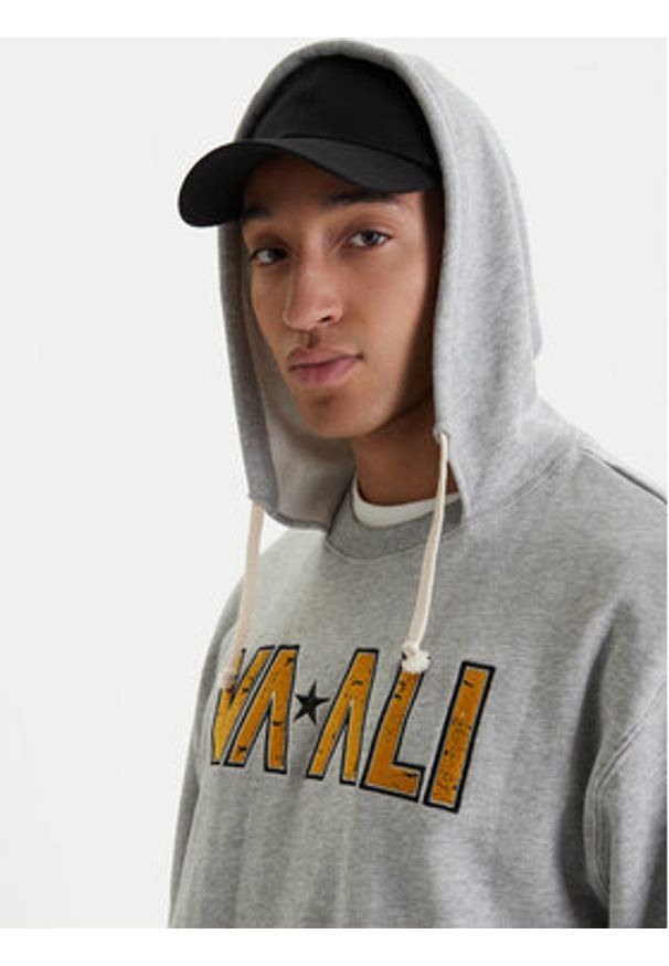 RVCA Bluza Va X Ali 23A413500 Szary Regular Fit. Kolor: szary. Materiał: bawełna