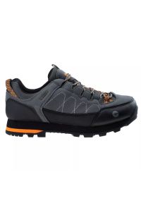 Hi-tec - Buty trekkingowe męskie Hi-Tec Gelen II Low WP - szare, Rozmiar buta 42. Kolor: szary. Materiał: guma, jeans, mesh #1