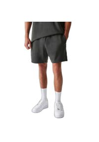 New Era - Krótkie spodenki Chicago Bulls Washed. Kolor: szary. Długość: krótkie. Sport: koszykówka #1