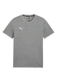 Puma - Męska Koszulka Team Goal Casuals. Kolor: szary. Sport: turystyka piesza