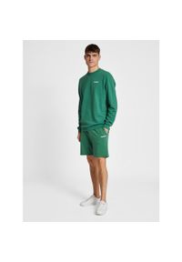 Bluza Hummel Lgc Gabe. Kolor: zielony