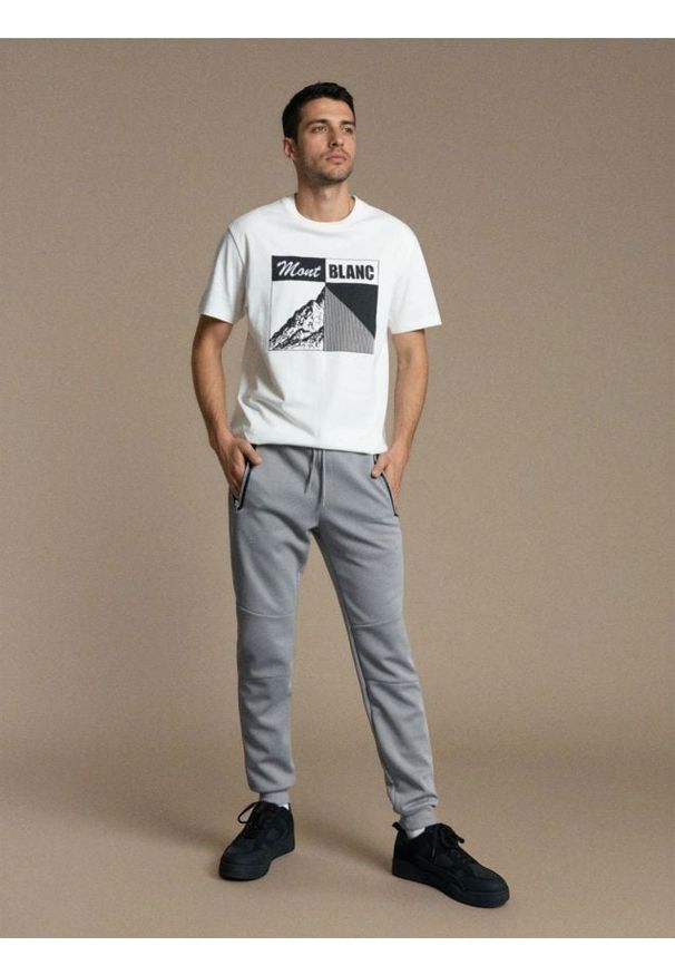 Sinsay - Sportowe spodnie dresowe z przeszyciami - szary. Kolor: szary. Materiał: dresówka. Styl: sportowy