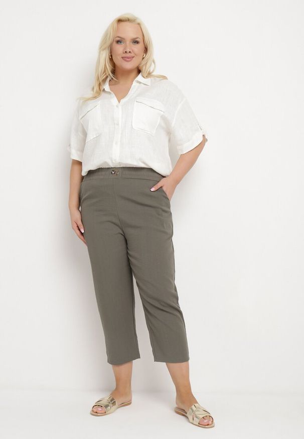 Born2be - Ciemnobeżowe Spodnie o Klasycznym Kroju z Metalową Wstawką i Cyrkoniami Oleessa. Kolor: beżowy. Materiał: bawełna, tkanina. Sezon: lato. Styl: klasyczny